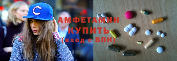 прущие грибы Медвежьегорск