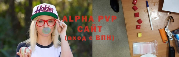 прущие грибы Медвежьегорск