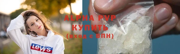 прущие грибы Медвежьегорск