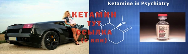 прущие грибы Медвежьегорск