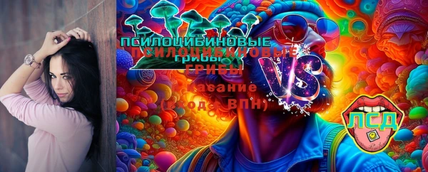 прущие грибы Медвежьегорск