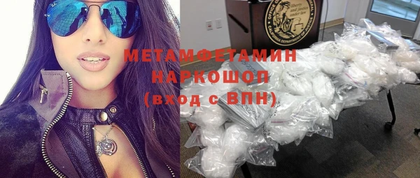 прущие грибы Медвежьегорск