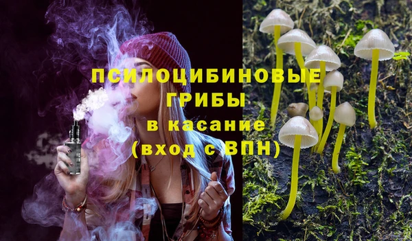 прущие грибы Медвежьегорск
