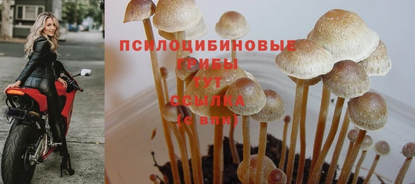 трава Мегион