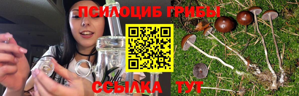 Псилоцибиновые грибы прущие грибы Красногорск