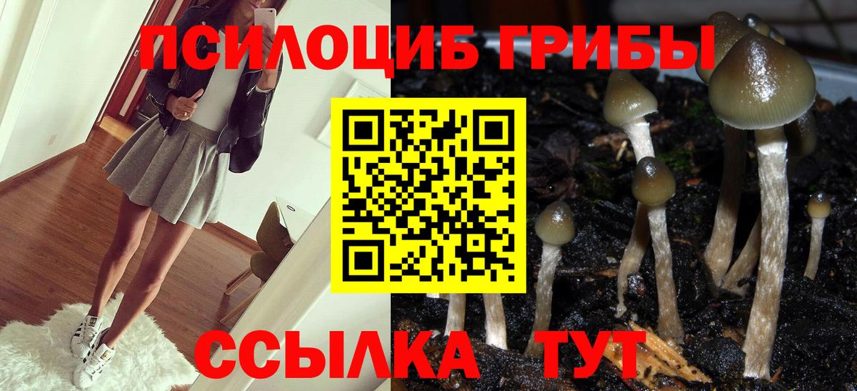 Галлюциногенные грибы Magic Shrooms  Псилоцибиновые грибы GOLDEN TEACHER  Красногорск 