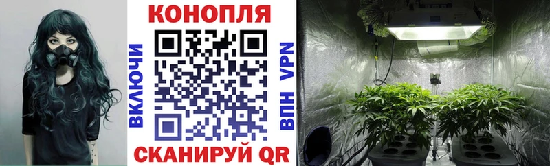 Каннабис OG Kush  купить закладку  Красногорск 